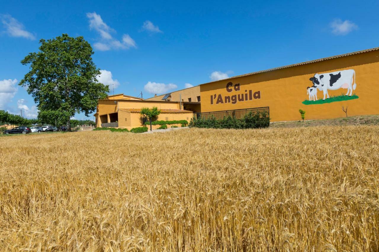 Casa di campagna Turisme Rural Ca L,anguila *